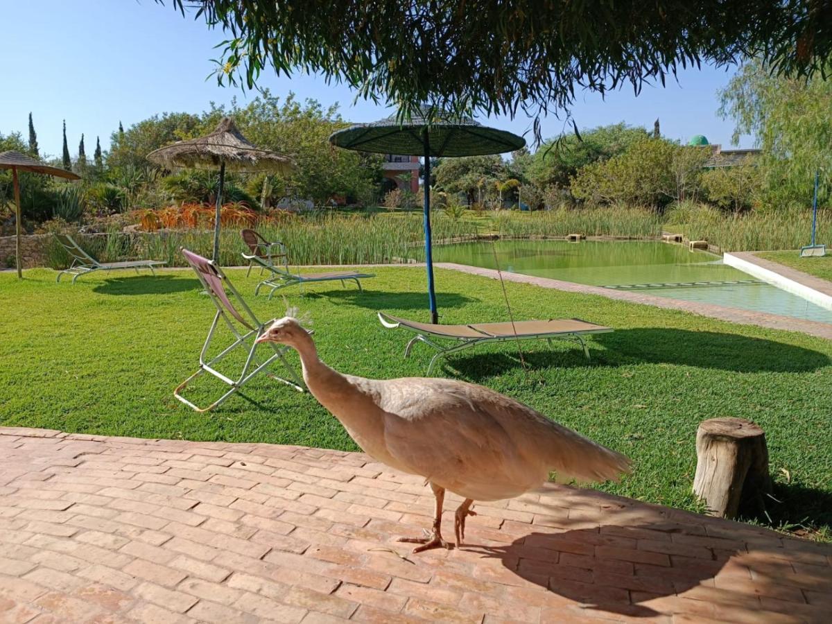 Bed and Breakfast Douar Noujoum As-Suwajra Zewnętrze zdjęcie