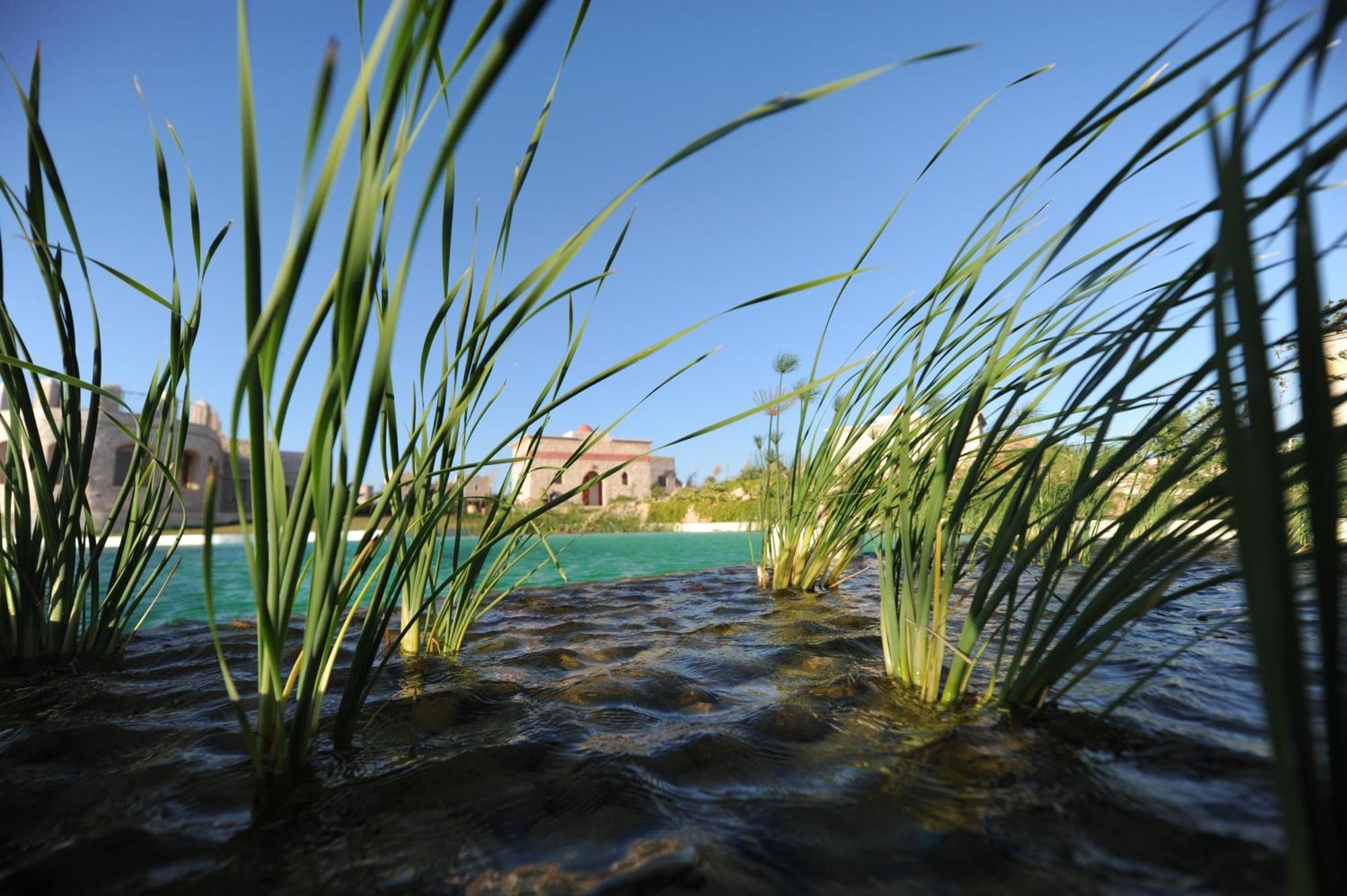 Bed and Breakfast Douar Noujoum As-Suwajra Zewnętrze zdjęcie